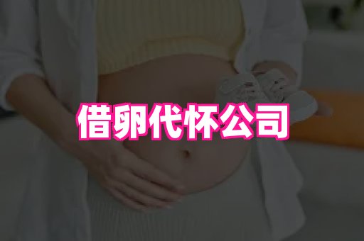 武汉助孕网 1